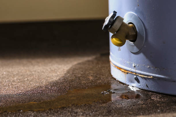Best Carpet water damage restoration  in Horizon West, FL