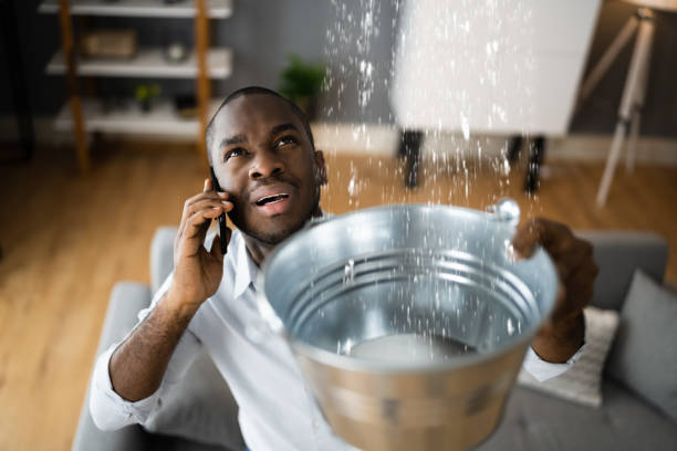 Best Ceiling water damage repair  in Horizon West, FL