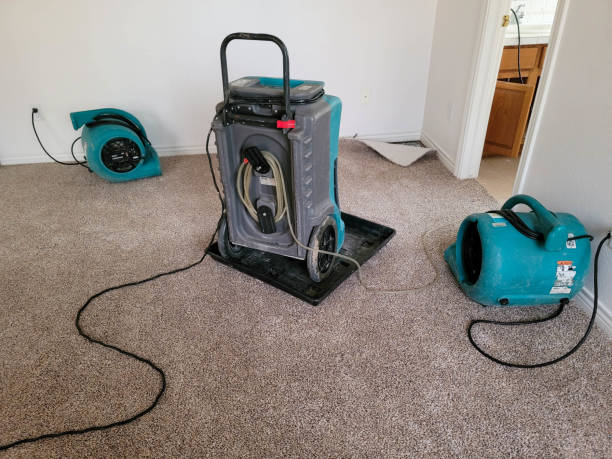 Best Water damage contractors near me  in Horizon West, FL