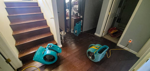 Carpet water damage restoration in FL
