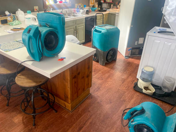 Best Sewage cleanup and water damage restoration  in Horizon West, FL