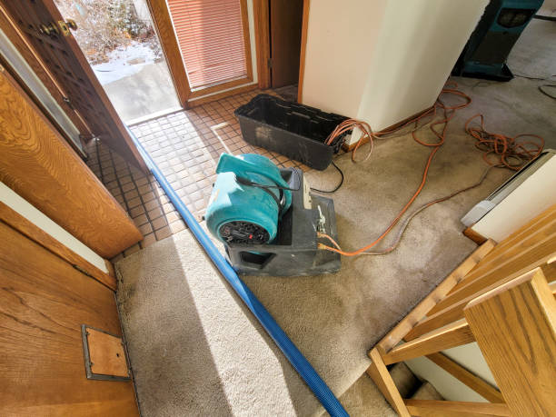  Horizon West, FL Water damage restoration Pros