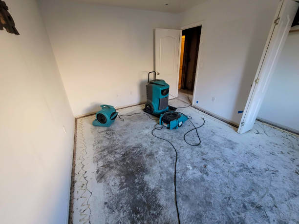 Best 24/7 water damage repair  in Horizon West, FL