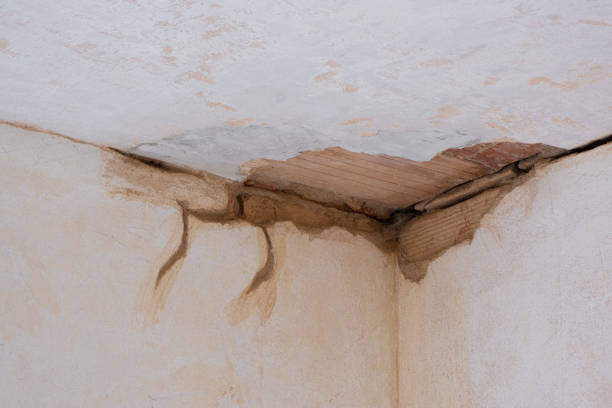 Best Commercial water damage restoration  in Horizon West, FL