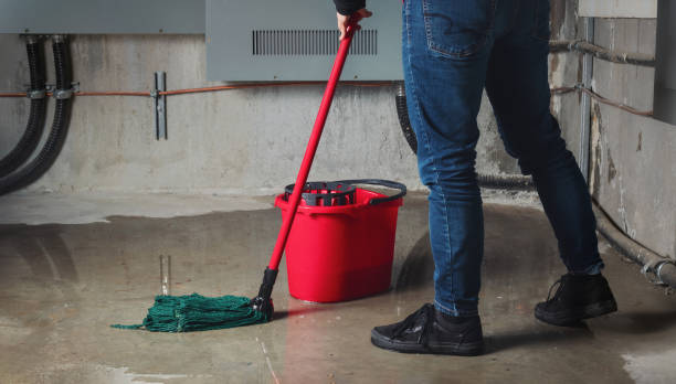 Best Basement water damage restoration  in Horizon West, FL