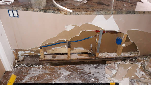 Best Flooded house restoration  in Horizon West, FL