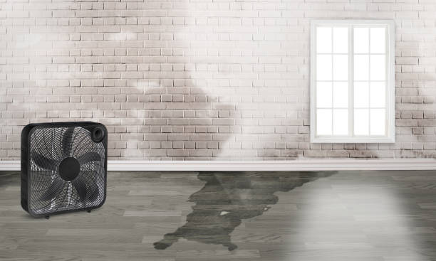 Reliable FL Water damage restoration Solutions
