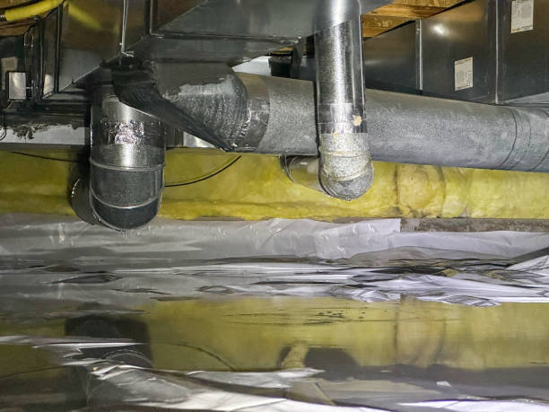 Best Local water damage restoration  in Horizon West, FL