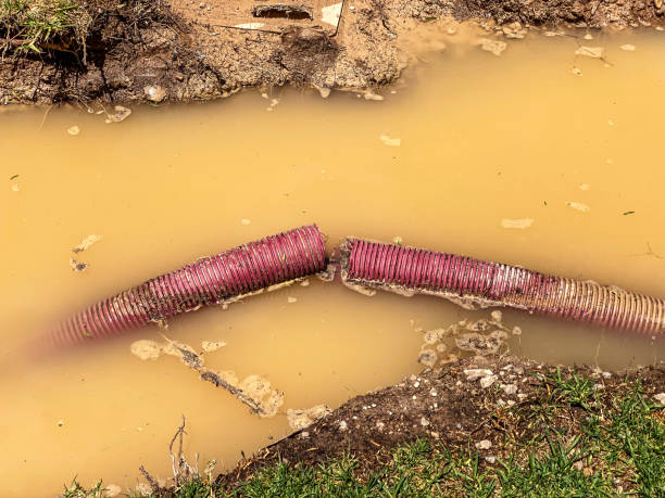 Best Residential water damage restoration  in Horizon West, FL