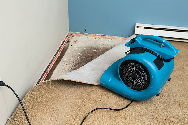Best Emergency water damage restoration  in Horizon West, FL
