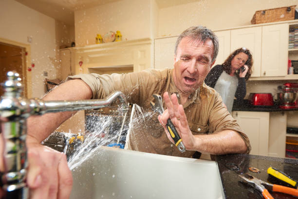 Best Water damage cleanup near me  in Horizon West, FL